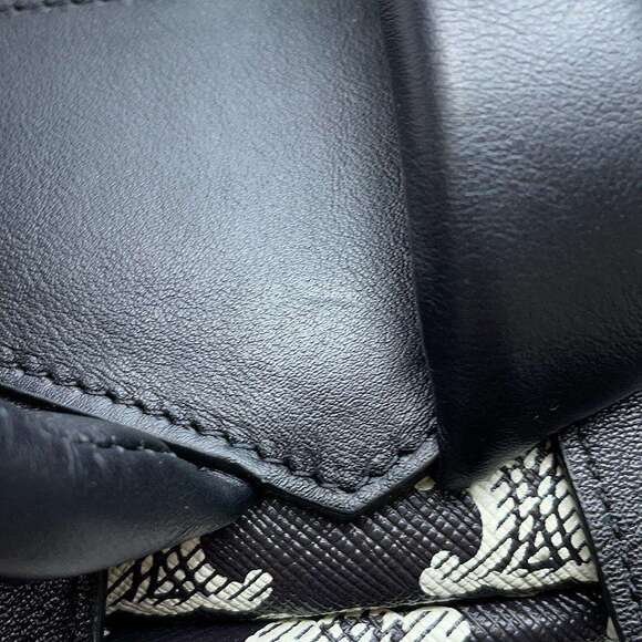 Celine Triomphe Backpack Black White Bag - Picture 7 of 7